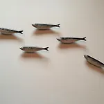 Sardinha Loft