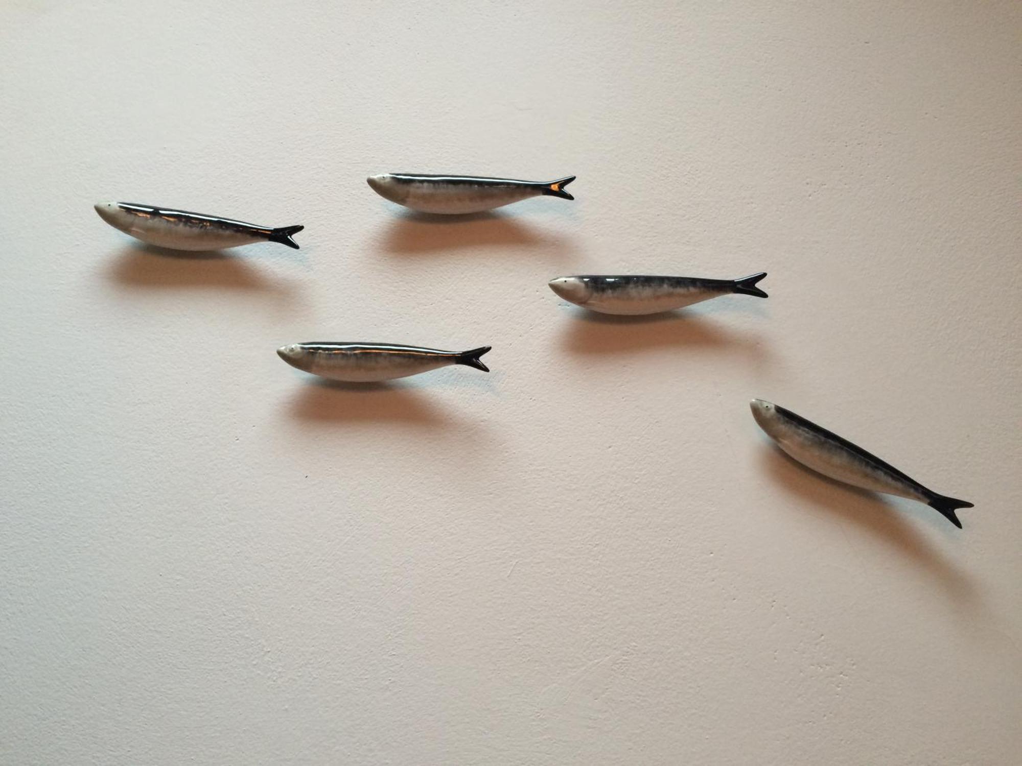 Sardinha Loft Appartement